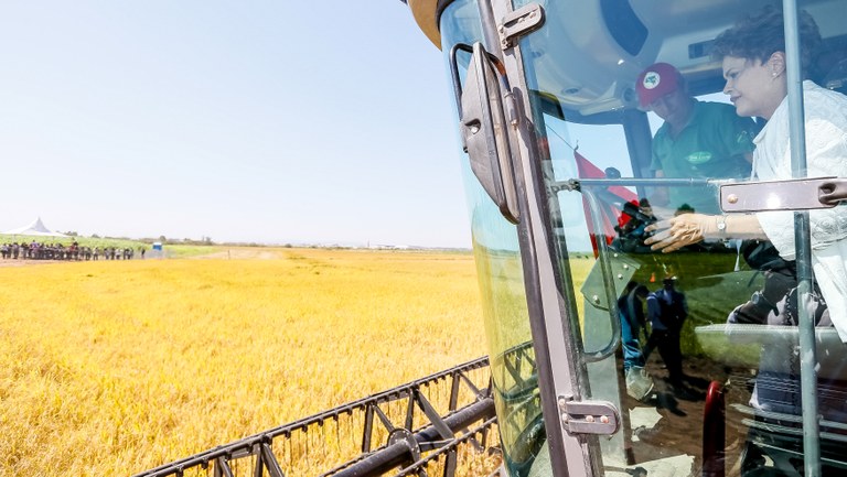 Abertura da Colheita de Arroz Ecológico - 01