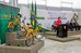 Dilma discursa durante cerimônia 1