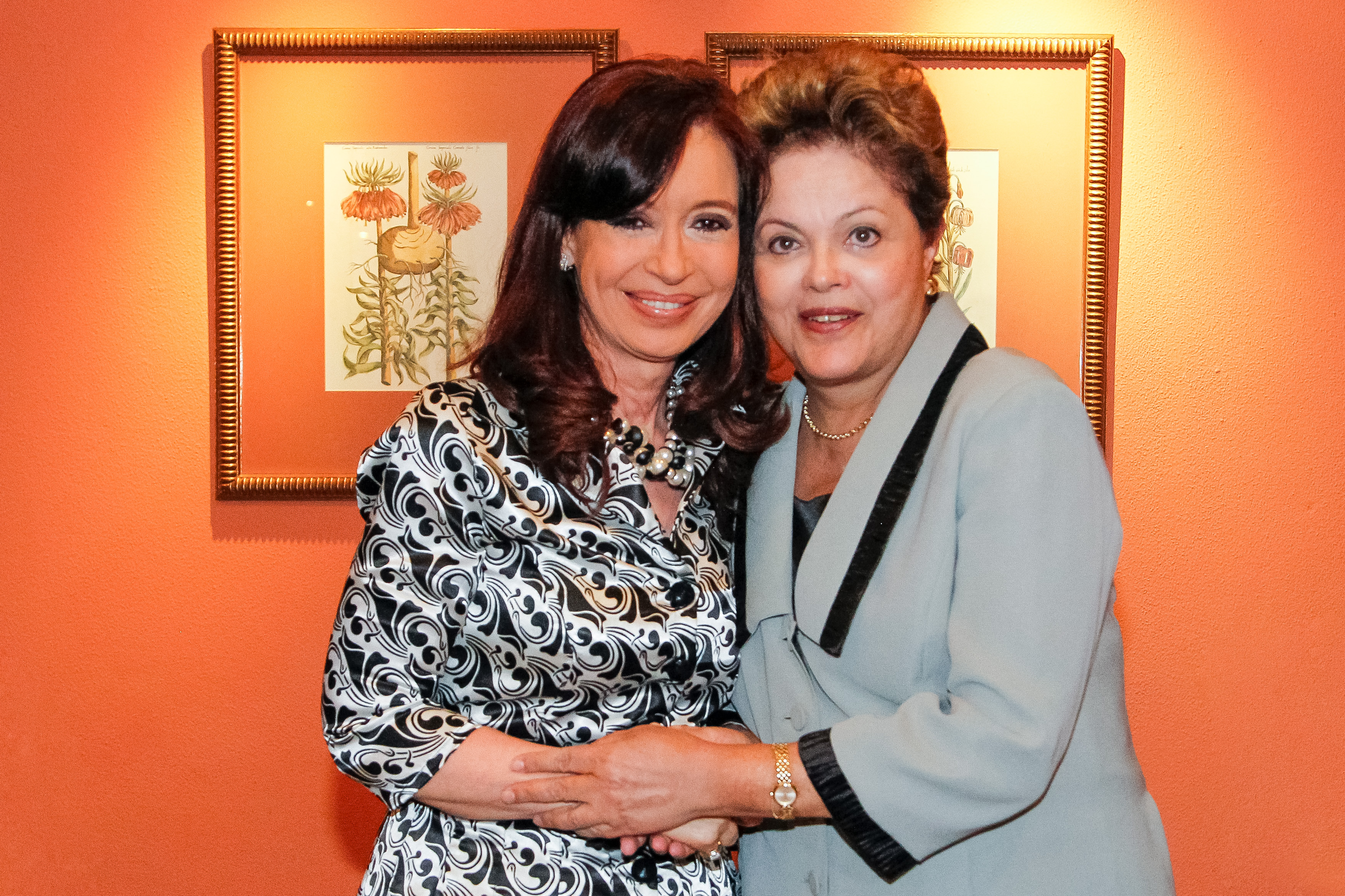 Reunião Bilateral com a Presidenta da Argentina, Cristina Kirchner em Havana - Cuba - 02