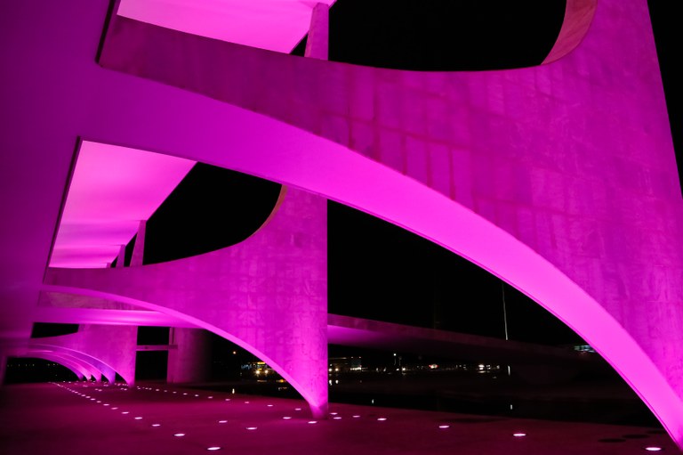  Palácio do Planalto entra na Campanha Outubro Rosa pela conscientização sobre o câncer de mama. Brasília-DF, 01/10/2013 
