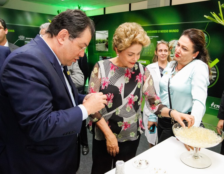  Presidenta Dilma Rousseff durante cerimônia de inauguração do Laboratório de Biotecnologia Agrícola do Centro de Tecnologia Canavieira-CTC. Piracicaba-SP, 14/10/2015 