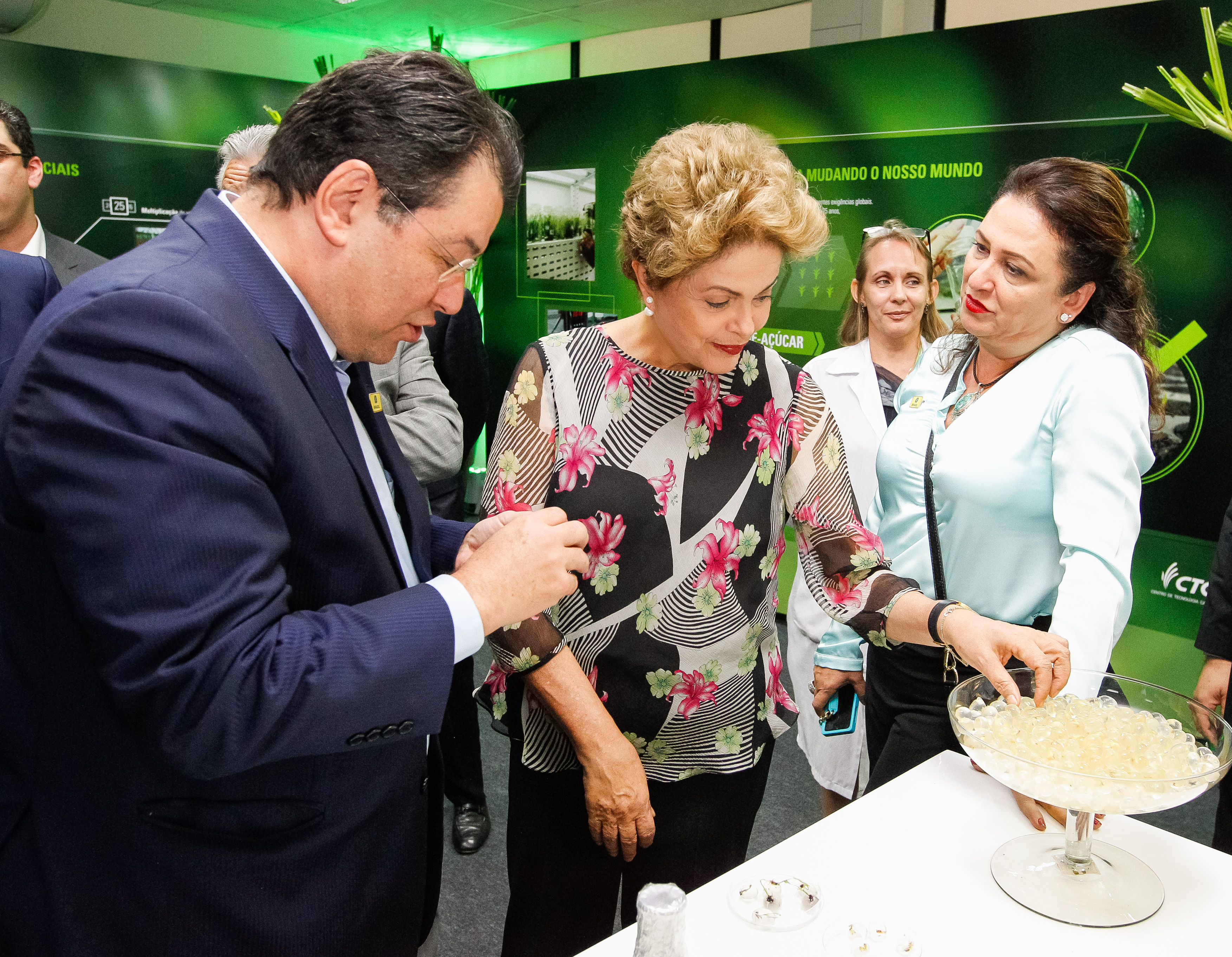  Presidenta Dilma Rousseff durante cerimônia de inauguração do Laboratório de Biotecnologia Agrícola do Centro de Tecnologia Canavieira-CTC. Piracicaba-SP, 14/10/2015 
