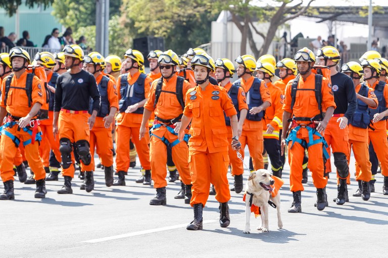 Presidenta Dilma Rousseff durante o desfile cívico-militar de 7 de Setembro em comemoração ao Dia da Independência. Brasília-DF, 07/09/2015
