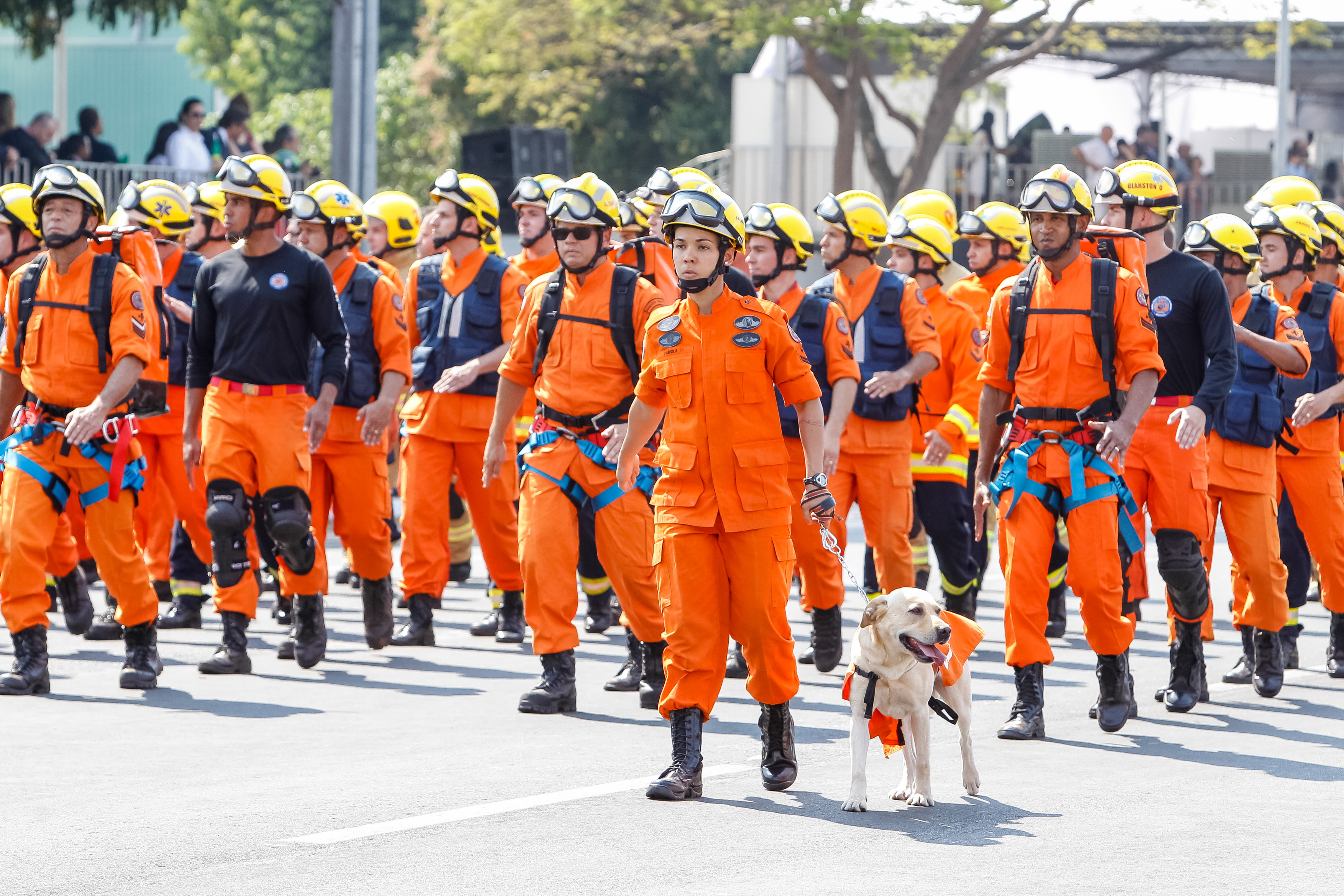 Presidenta Dilma Rousseff durante o desfile cívico-militar de 7 de Setembro em comemoração ao Dia da Independência. Brasília-DF, 07/09/2015