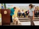 Presidenta Dilma assina decreto que regulamenta a aposentadoria especial para pessoas com deficiência