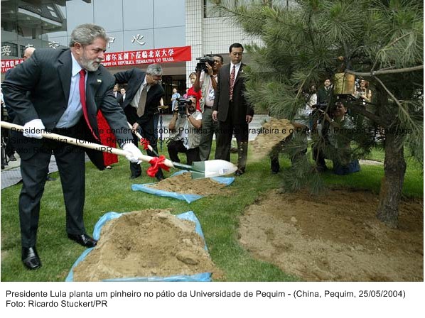 Presidente Lula Planta um pinheiro na Universidade de Pequim.
