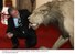 Presidente Lula durante visita oficial ao Quênia.