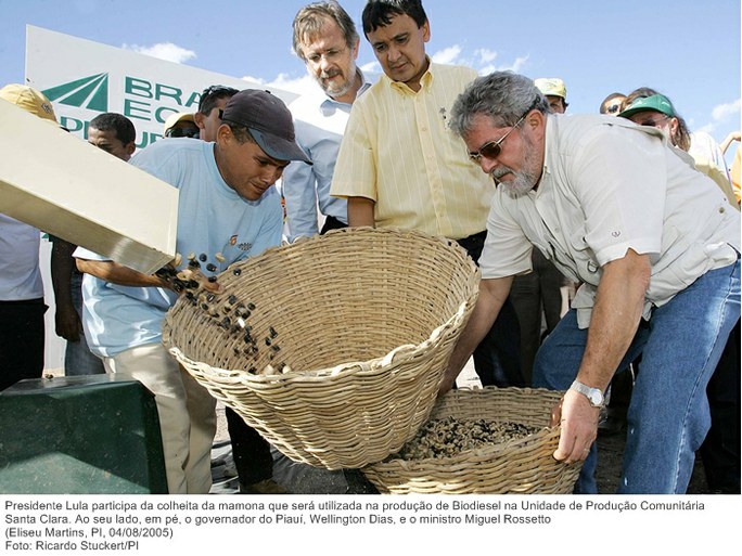 Presidente Lula participa da colheita da mamona que será utilizada na produção de Biodiesel na Unidade de Produção Comunitária Santa Clara.jpg