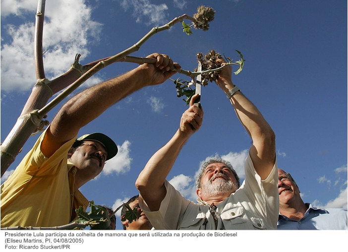 Presidente Lula participa da colheita de mamona que será utilizada na produção de Biodiesel.jpg