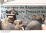 Presidente Lula discursa durante visita às obras do campus da Universidade Federal do ABC.