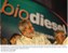 Presidente Lula durante cerimônia de inauguração da usina de biocombustível de Candeias e lançamento da Petrobras Biocombustível.