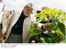 Presidente Lula observa vegetação em torno do reservatório de contenção da Barragem Manuel Alves.