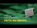 Algodão brasileiro: riqueza do campo feita no Brasil