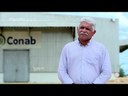 Milho mais barato no Nordeste