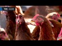 Semana do Planalto - 18 a 24 de março